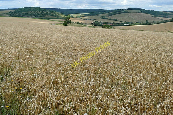 Photo 6"x4" Towards Charlton Charlton\/SU8812 c2010