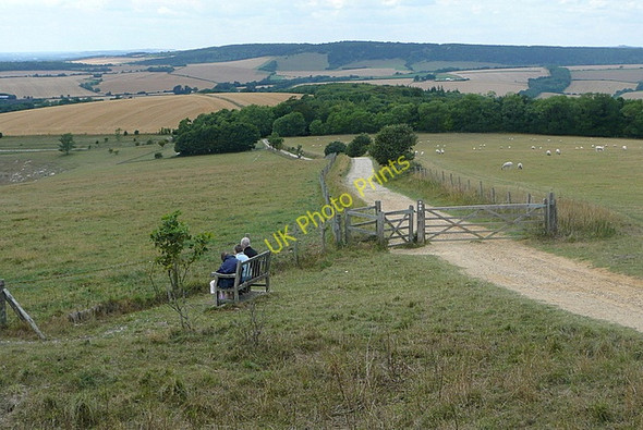 Photo 6"x4" Descent from The Trundle Charlton\/SU8812 c2010