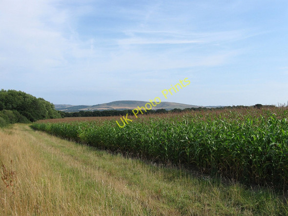 Photo 6"x4" Front Field Selmeston c2010