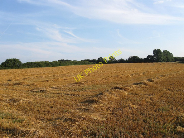 Photo 6"x4" The Mitchells Selmeston c2010