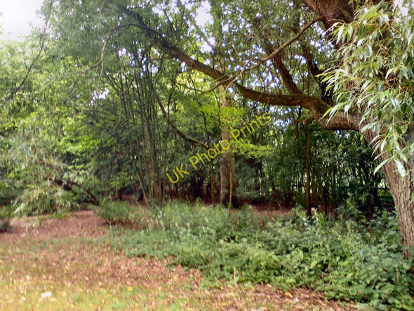 Photo 6"x4" Hartford Picnic Area Northwich c2010