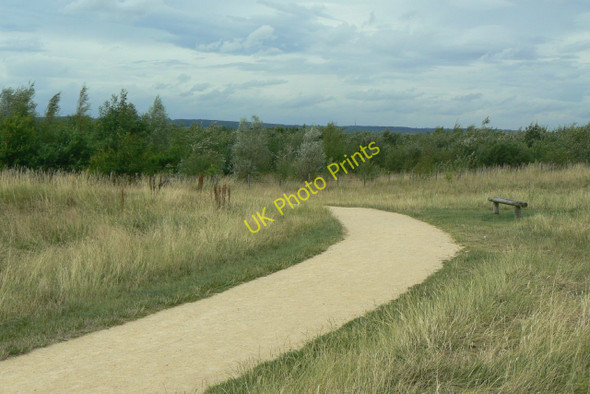 Photo 6"x4" Pathway in Bestwood Country Park Rise Park\/SK5546 c2010