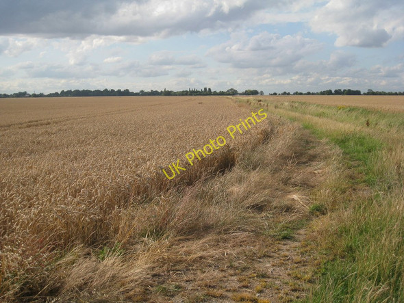 Photo 6"x4" View towards Eastoft (1) Eastoft c2010
