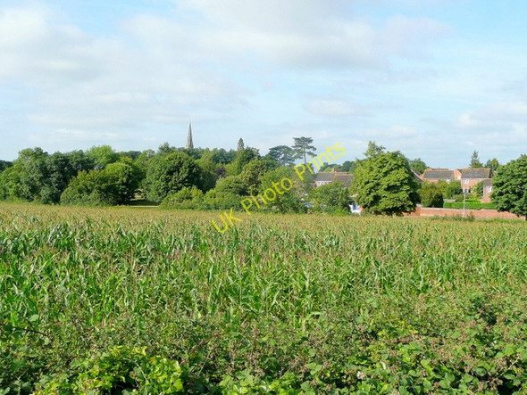 Photo 6"x4" Highnam church spire in the distance Highnam c2010