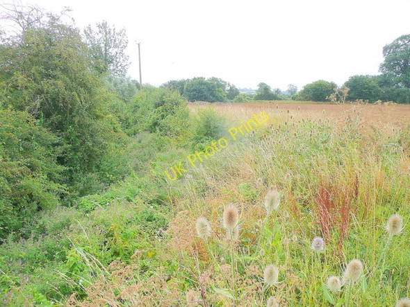 Photo 6"x4" Course of the Marsh Brook Bridge End\/SO8031 c2010