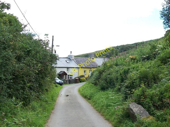 Photo 6"x4" Tan-y-garreg Cottages, Dinas Dinas\/SH2636 c2010