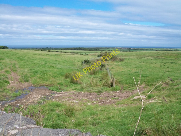 Photo 6"x4" Stream west of Caerau Farm Dinas\/SH2636 c2010