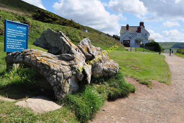 Photo 6"x4" Whale Bones near Croyde Croyde Bay\/SS4339 c2010