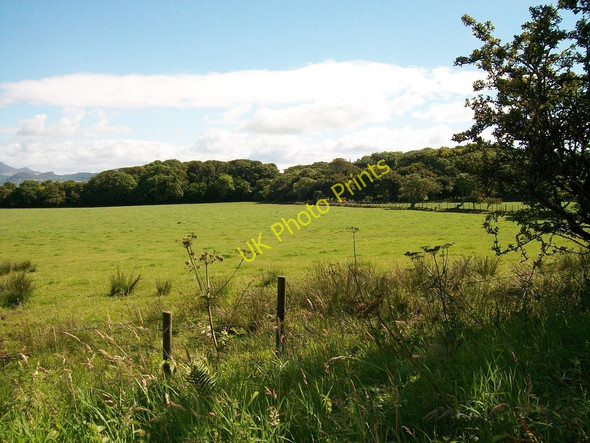 Photo 6"x4" Woodland plantations at Bryn Odol Dinas\/SH2636 c2010