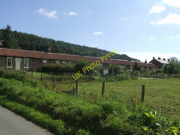 Photo 6"x4" New Row Kildale c2010