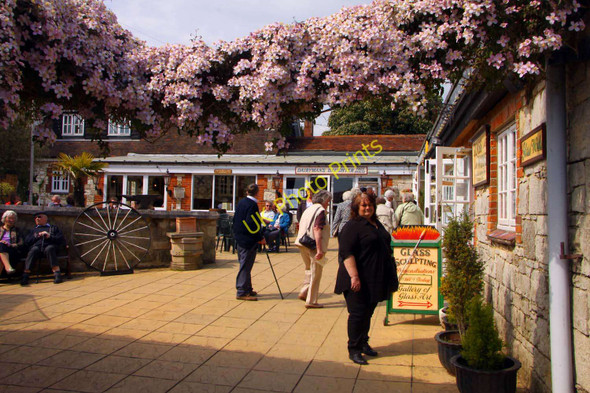 Photo 6"x4" Clematis at Arreton Manor Craft Village Arreton c2010