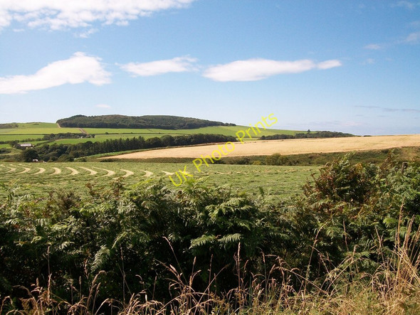 Photo 6"x4" Croplands in the Soch valley Bryn-mawr\/SH2433 c2010