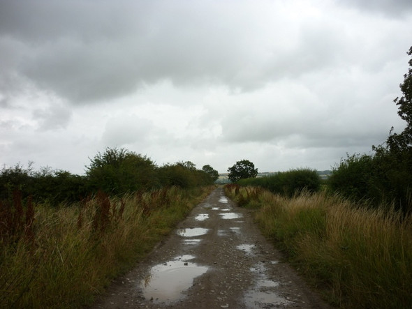 Photo 6"x4" Carr Lane, Winterton Carrs Horkstow c2010