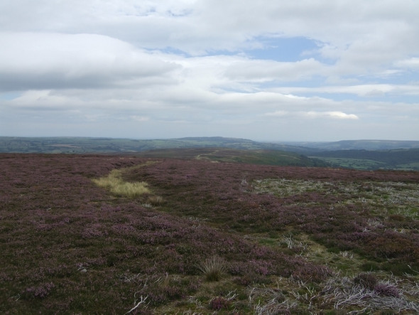 Photo 6"x4" Glaisdale Rigg Street\/NZ7304 c2010