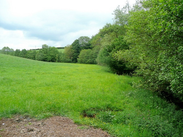 Photo 6"x4" Pasture by the Garren Brook St Weonards c2010