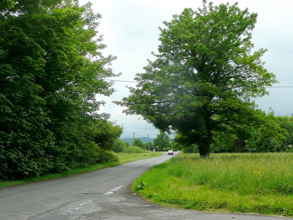 Photo 6"x4" Garway Common Garway c2010