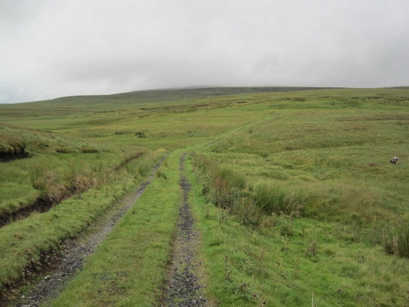 Photo 6"x4" Footpath and Track towards Cow Green Reservoir Viewing Hill c2010