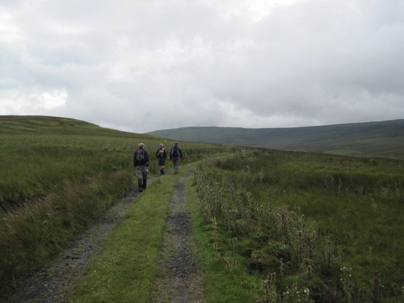 Photo 6"x4" Footpath and Track below Viewing Hill Harwood\/NY8233 c2010