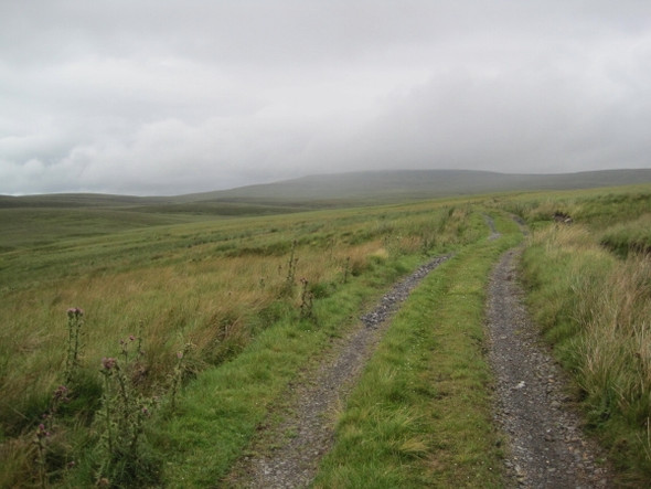 Photo 6"x4" Footpath and Track below Viewing Hill Metalband Hill c2010