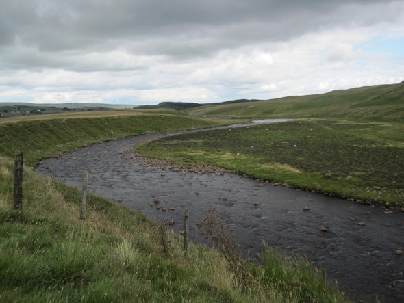 Photo 6"x4" River Tees below Cronkley Scar Forest-in-Teesdale c2010