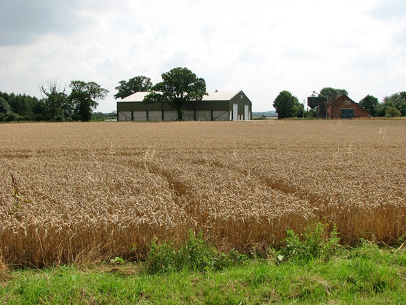 Photo 6"x4" Sheds at Brick Kiln Farm Wymondham\/TG1101 c2010