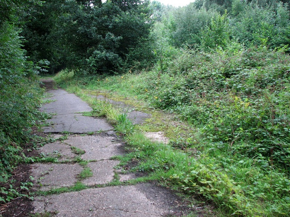 Photo 6"x4" Old service road on Hethel airfield Penny's Green c2010