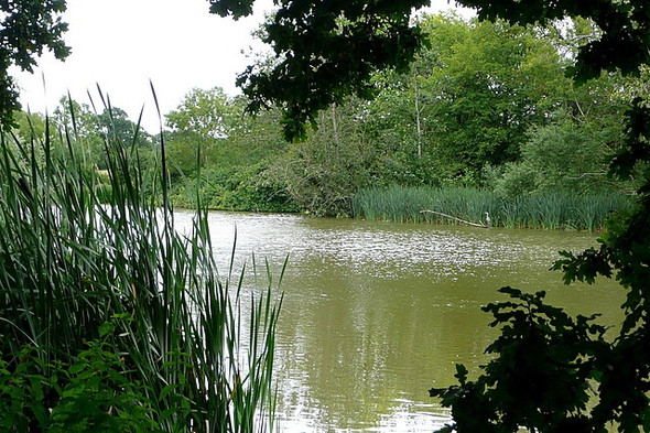 Photo 6"x4" Brockhurst Pond Billingshurst c2010