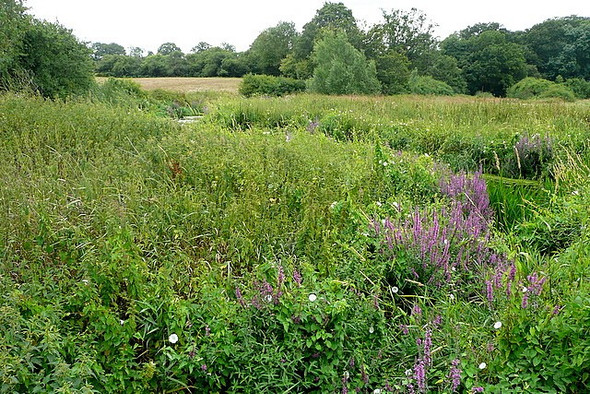 Photo 6"x4" Joining the River Arun Billingshurst c2010
