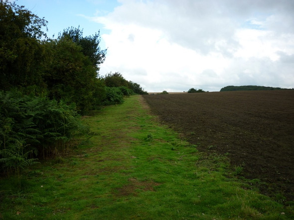 Photo 6"x4" A walk from Oulton Church #37 Austhorpe c2010