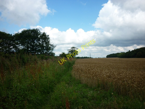 Photo 6"x4" A walk from Oulton Church #58 Arthursdale c2010 P1