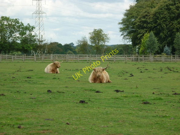 Photo 6"x4" A walk from Oulton Church #62 Arthursdale c2010