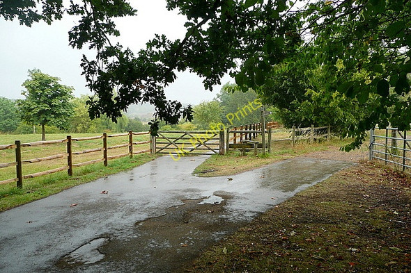 Photo 6"x4" Track at Sheepwash Farm Bedham c2010