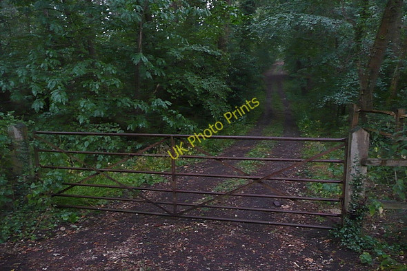 Photo 6"x4" Track into Round Copse Bedham c2010