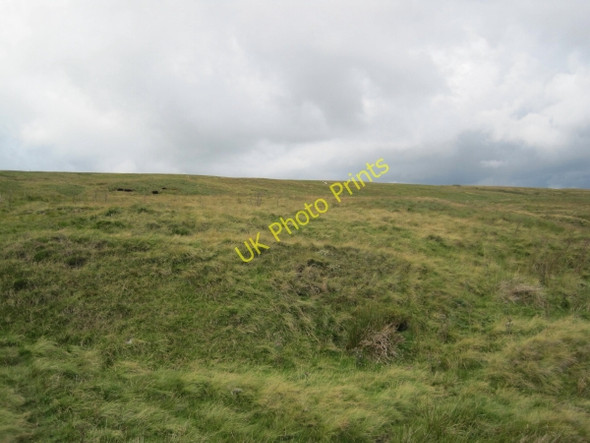 Photo 6"x4" Bridleway towards Wellhope Moor Carrsheild c2010