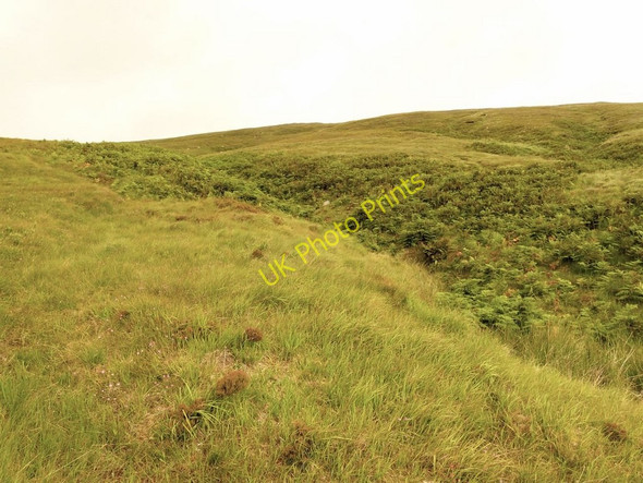 Photo 6"x4" Bracken-filled gully above the River Grudie Grudie River c2010