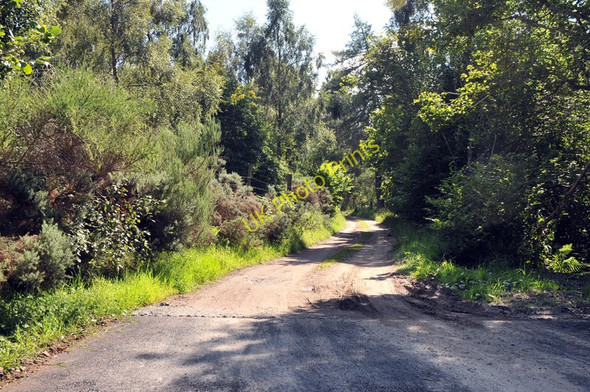 Photo 6"x4" Unsurfaced road to Finglack Leanach\/NH7544 c2010