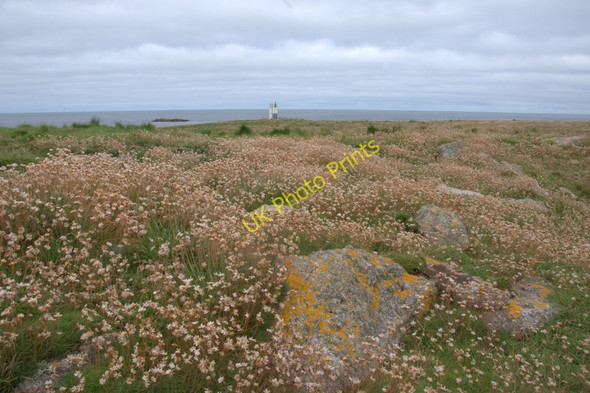 Photo 6"x4" Holm of Skaw Kirkaton c2010