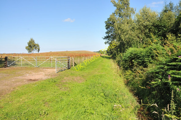 Photo 6"x4" Farmland near Piperhill Culcharry c2010