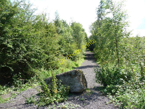 Photo 6"x4" Controlling access Methley Lanes c2010