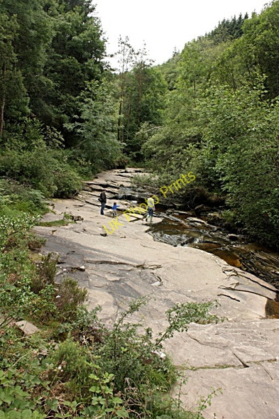 Photo 6"x4" Young River Barrow Rosenallis c2010