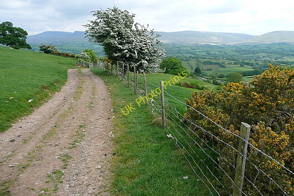 Photo 6"x4" Track towards Ty-uchaf Pont-ar-llechau c2010