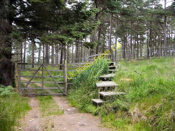 Photo 6"x4" Stile in Glen Banvie Wood Bruar c2005