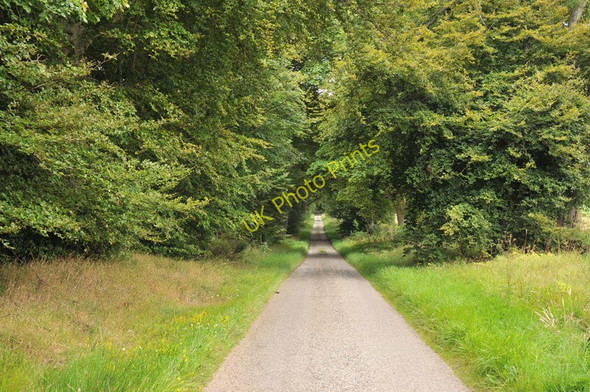 Photo 6"x4" Narrow road near Mains of Tore Tore c2010