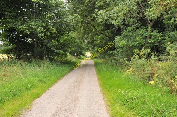Photo 6"x4" Narrow road near Mains of Tore Tore c2010 P1