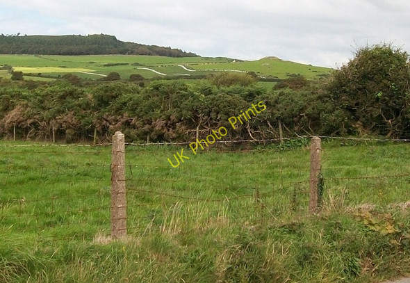 Photo 6"x4" The cattle lands of Cefnamwlch from the B4413 near Bryncroes Bryncroes c2010