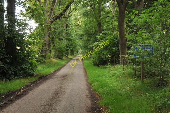 Photo 6"x4" Narrow road near Mains of Tore Tore c2010