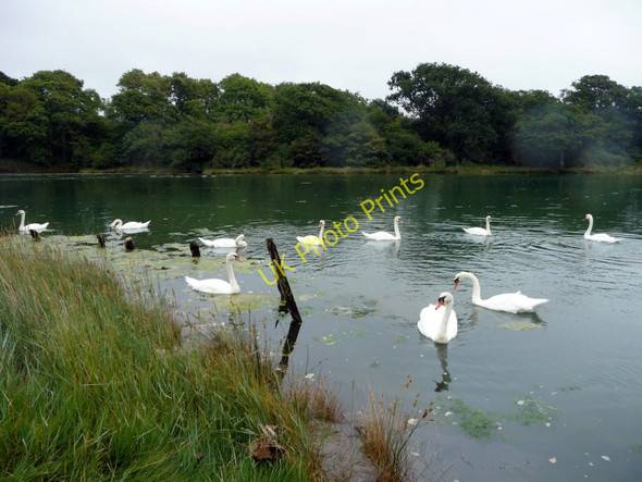 Photo 6"x4" Shalfleet Lake, Isle of Wight Newtown\/SZ4290 c2010