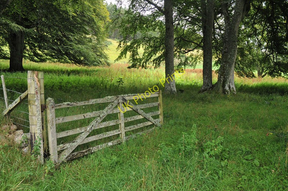 Photo 6"x4" Gate into fields near Dunain House Dochgarroch c2010
