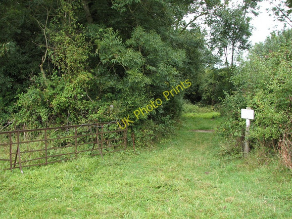 Photo 6"x4" An open gate Hethel c2010