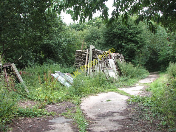 Photo 6"x4" Wood stack beside footpath through RAF Hethel Hethel c2010